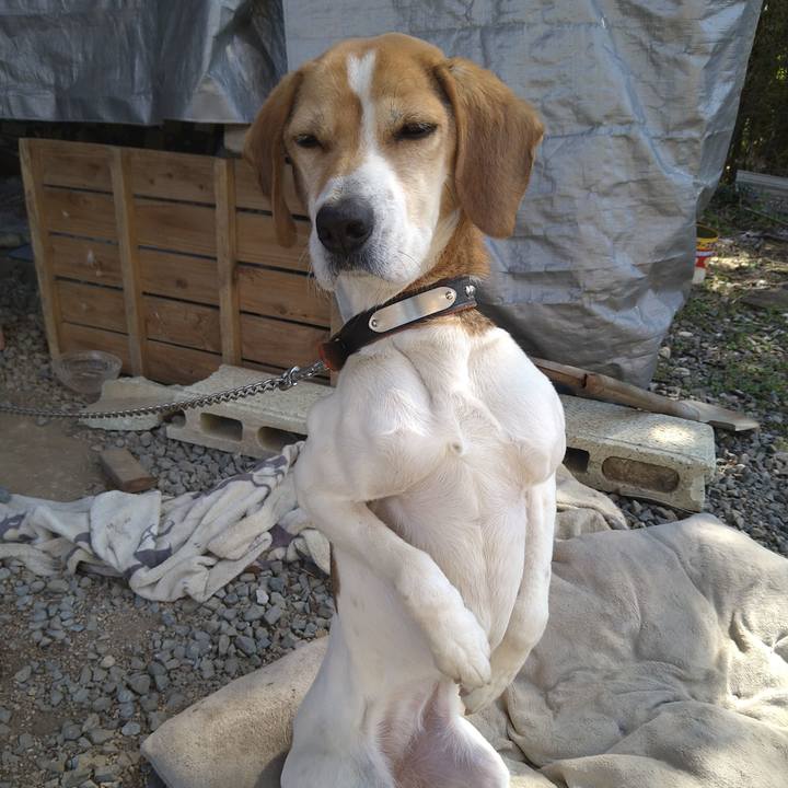 83ef107e 94f0 4eba 95e0 2277faa2534d 1646045526993