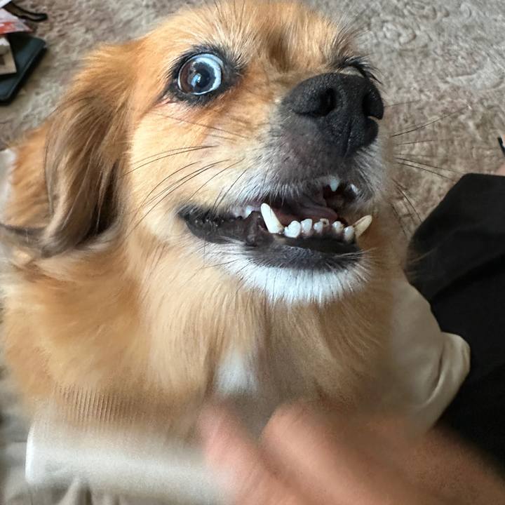 83ef4ff7 6dc9 4b1a 938e 856a21caecce 1689547556794