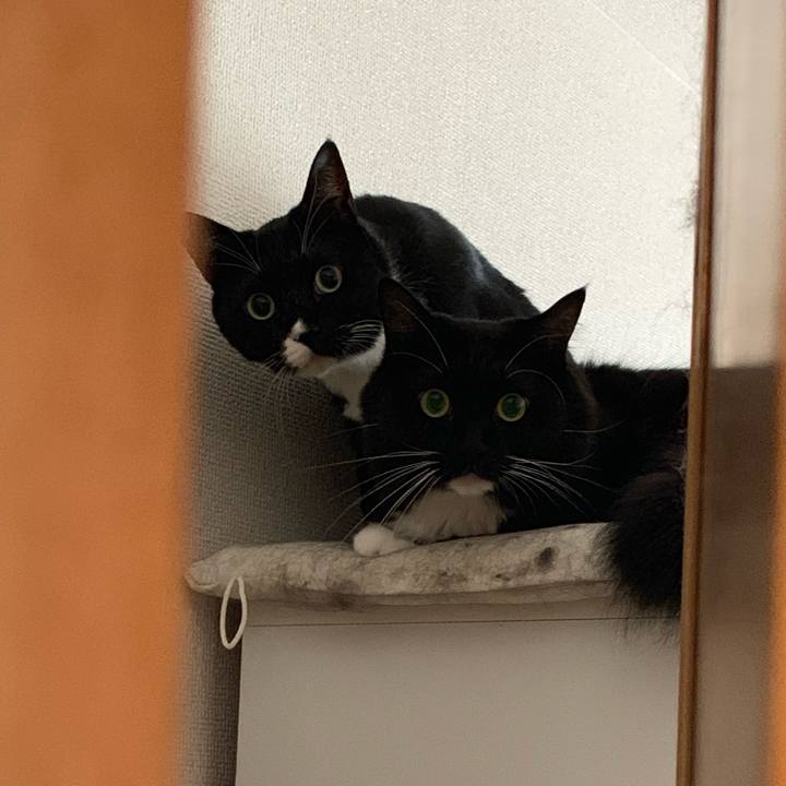 83ef5726 e68d 4d88 8c45 0021b61db222 1570368867446