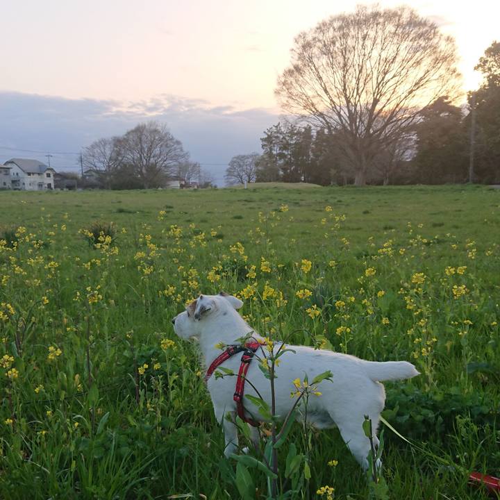 83efc270 d15e 47d8 8ae3 5599e992ea4f 1521857747543