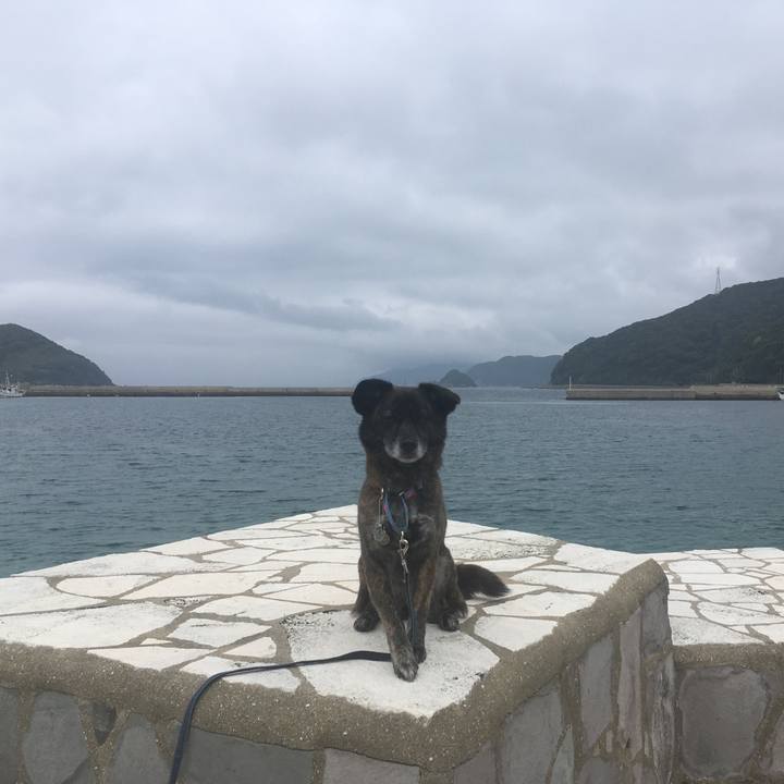 83efce2e cdf7 4e49 8d85 ae64da3e64b3 1556329896792