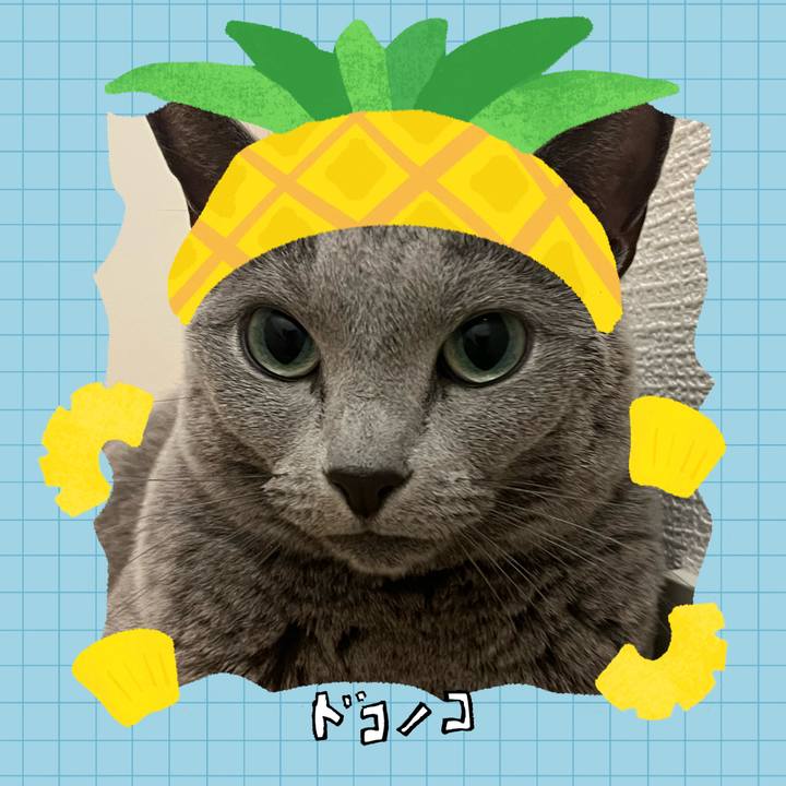 83f01387 ea2b 483e bd8b 2e71d52d8499 1783511175558