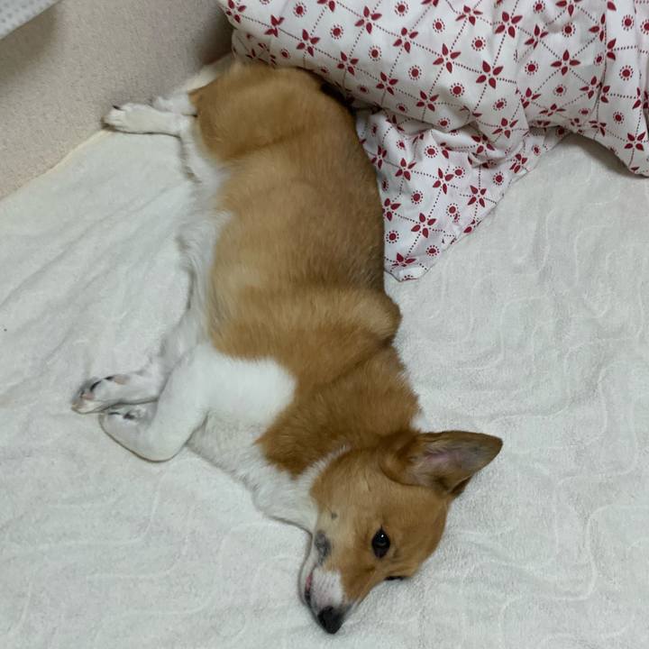 83f04118 d2f8 4be2 9b06 0db6f7b762e4 1596545793193