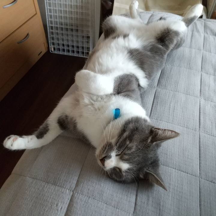 83f07b82 6ffa 405b 8b6d 5090476b00f4 1601939050757