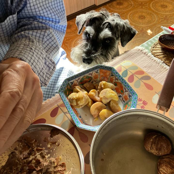 83f083e3 f5c7 4f54 91d9 5dcdfcf56598 1730689647884