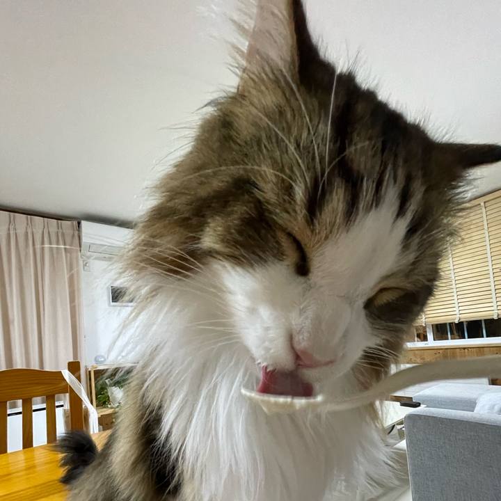 83f0a84b 54da 4672 8912 5d820de37f88 1674161396483