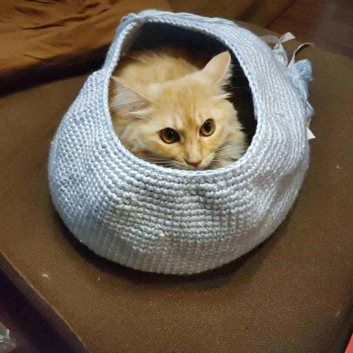 83f0e7a1 b90c 42f2 bed5 68c21cd33065 1663587657458