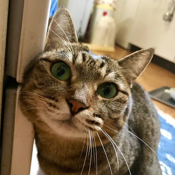 83f11b44 6769 4f79 b64f 9cb949067259 1532919325614