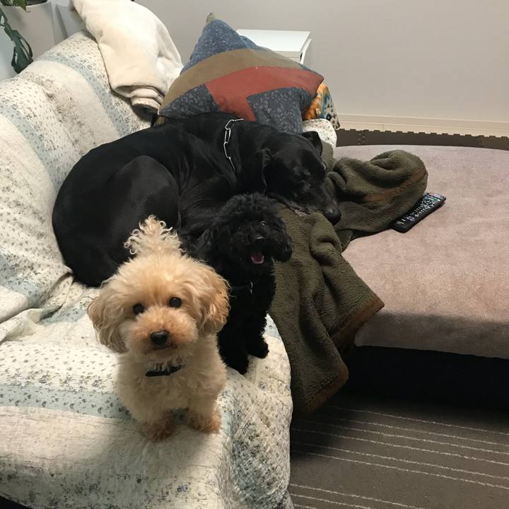 83f12e94 f77a 4992 bdff cc054bf50d6a 1508041549312