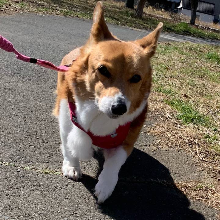 83f1399a d202 479a aaac c206b33ac4a8 1709434272534