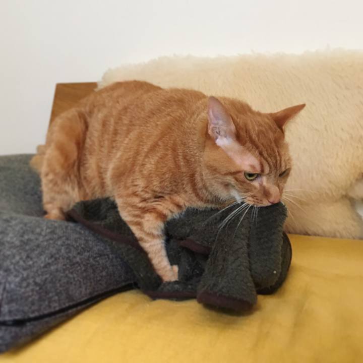 83f1692d 4277 49c6 b6ed 133ba499899c 1626892664512