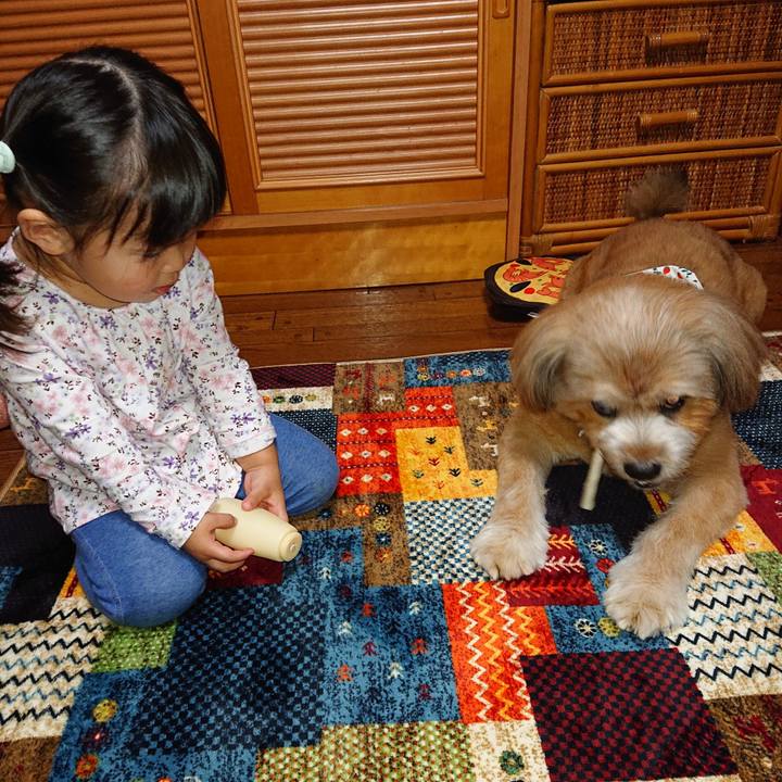 83f17741 9425 42bf a3d6 9d002597923a 1602937333409