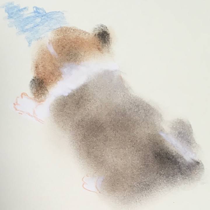 83f17ab8 9825 48d9 adce e8a8757ab0be 1587966481275