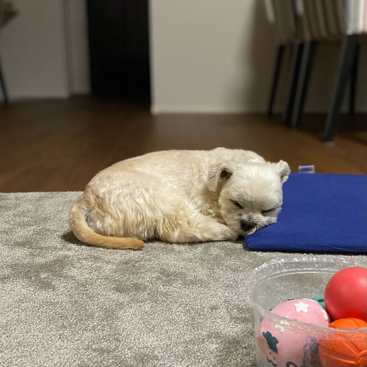 83f193fe 11ff 4e4c 8ea6 5660c45324e3 1609338353700