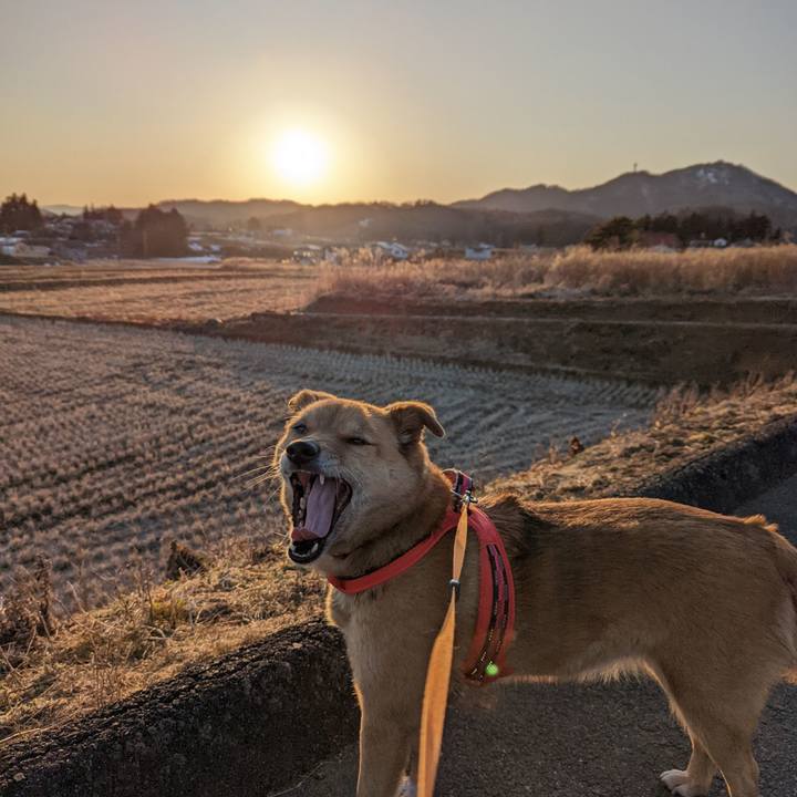 83f198e5 affa 4308 a57b f1023f068753 1644837547161