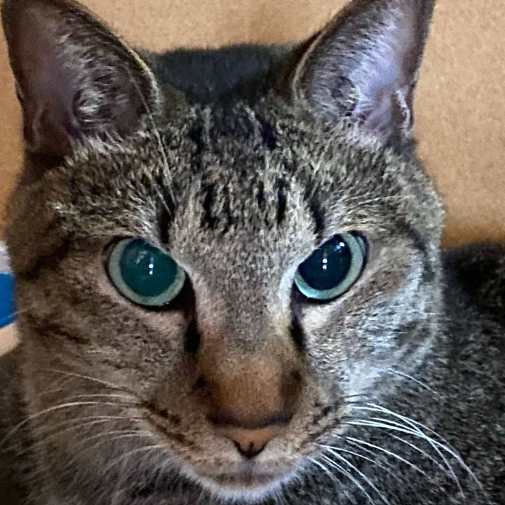 83f1be7a 6f6d 43a6 be7c 416321009297 1764075873461