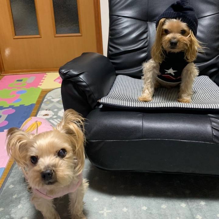 83f1ee97 3e8f 4f0a af42 34e8421384d3 1612954532626