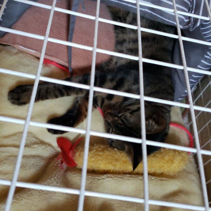 83f232ff bdc1 4b35 baaf 6c8eb652c97c 1554648325971