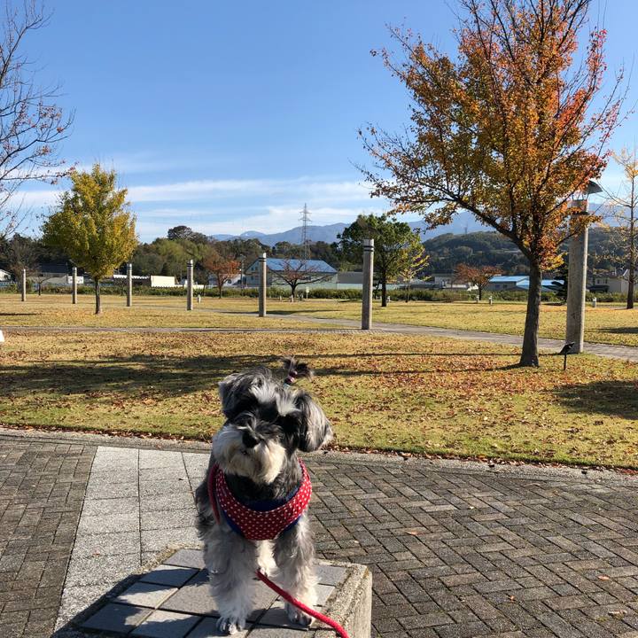 83f26f34 9320 4759 9d65 f1a7f514ad6b 1542526980595