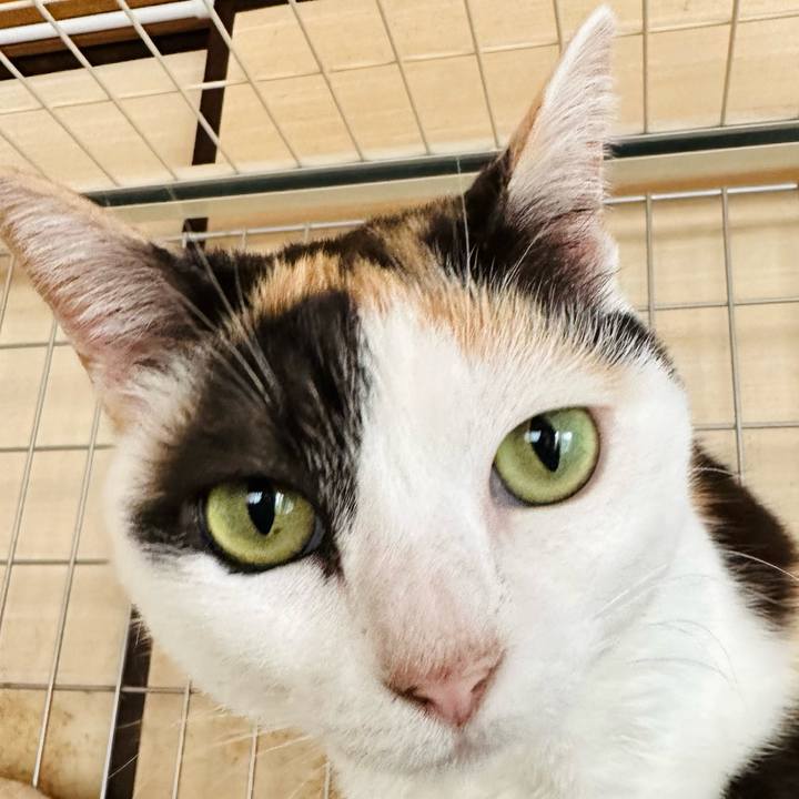 83f2a2fa c200 48c1 ab29 b7f0fb3cb0af 1685152882902