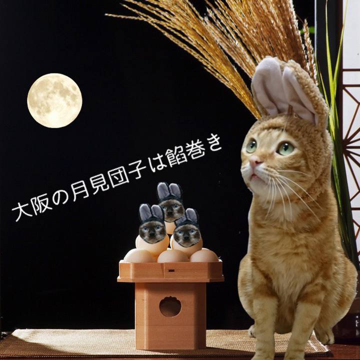 83f2cb01 a6c4 4d0e a84d bc0a48050427 1632092609020