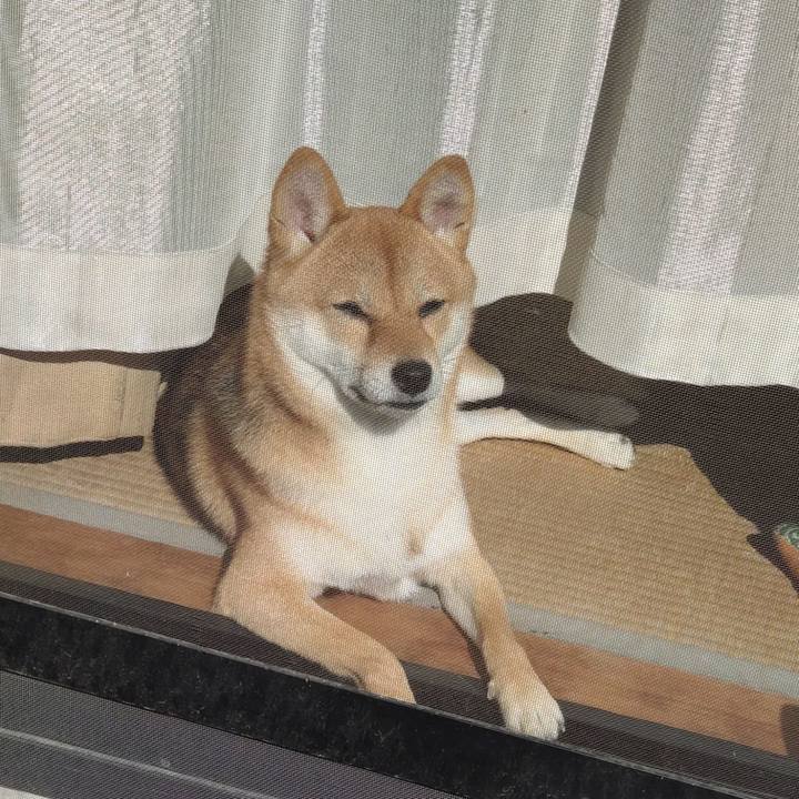 83f2dce7 b16c 41b1 83e9 db4db3497506 1635558118026