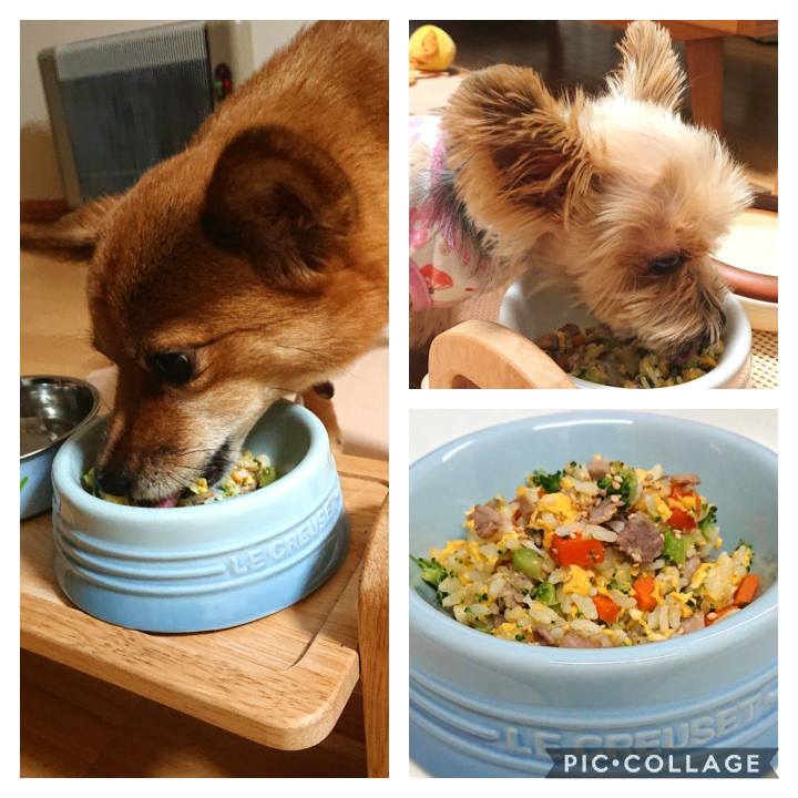 83f2f510 e406 4d86 ac31 035991556e50 1578042290541