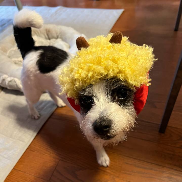 83f30d4b 8fb5 46b0 8892 1db92af049e1 1738460785262