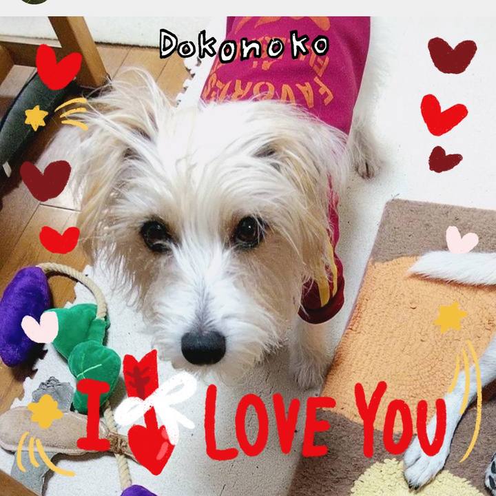 83f30fe9 5d75 4ca4 bc93 2d4d34e23108 1706967743856