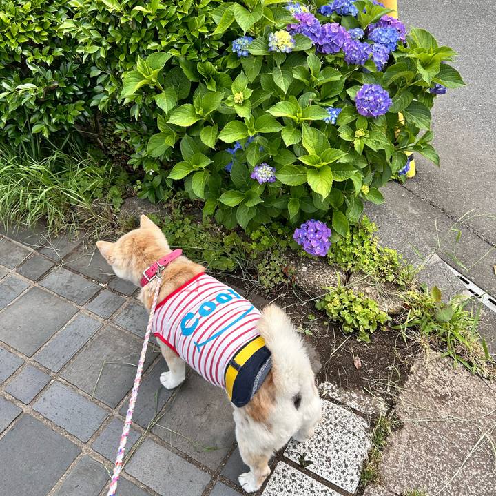 83f32e41 2d2a 4912 a608 8d92de3495ed 1748218976139