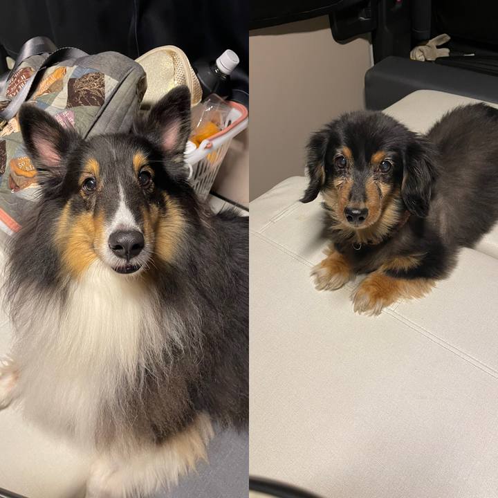 83f33b1b fb7f 4d02 bb08 ffb53e54b81c 1668161291766