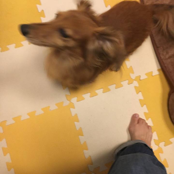 83f34c07 45f2 471b a4a8 87496bb21b6c 1549460487935