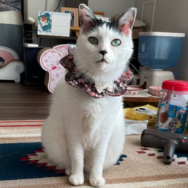 83f37087 d538 4380 a747 e76e5228af1f 1682239463057