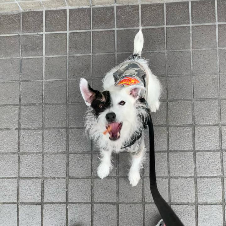 83f37259 54e7 4d71 b759 b3613e323e10 1668385730499