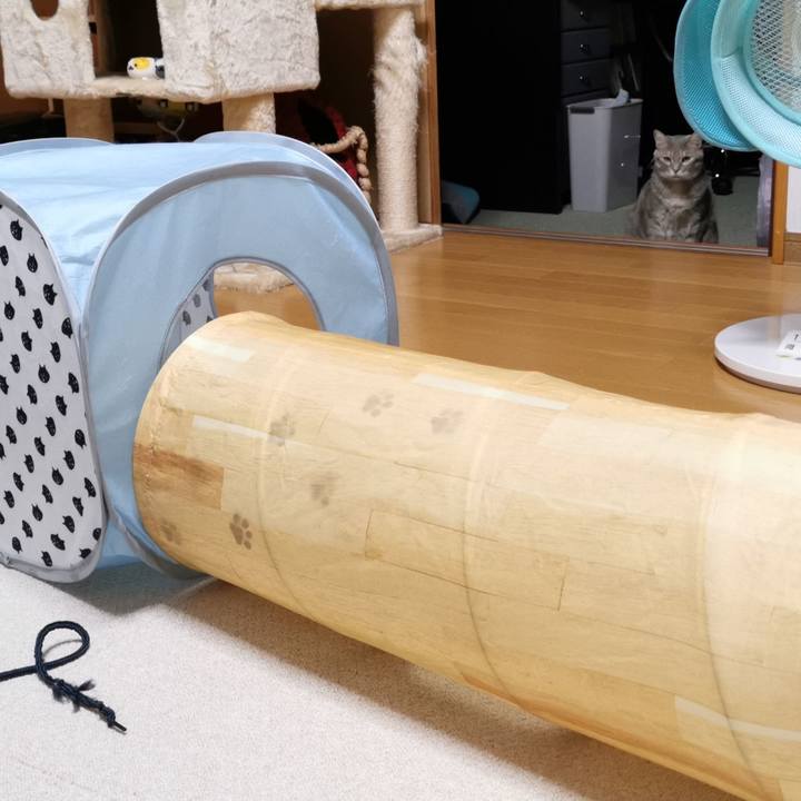 83f38360 d492 4a34 b176 0bd868ed6950 1621694952438