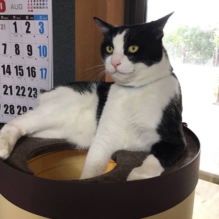 83f3a1eb c3c1 4b57 84db 20f7e58e1694 1723110973585