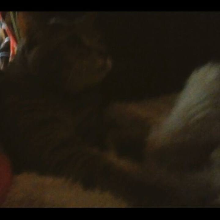 83f3aa4e a223 4cae b378 90dec3b23f98 1573770314825