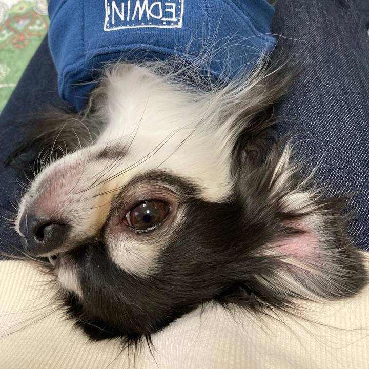 83f3d08b 0595 419e a35b ef5d02d01698 1667714286084