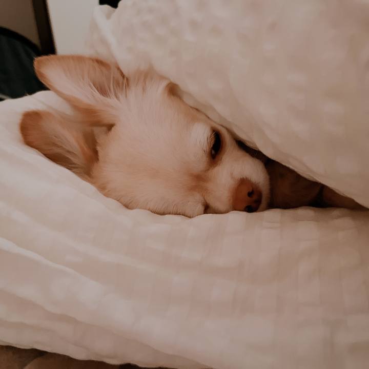 83f3d127 d3dd 4c3e aacc c3dd24a2e8b9 1675408539561