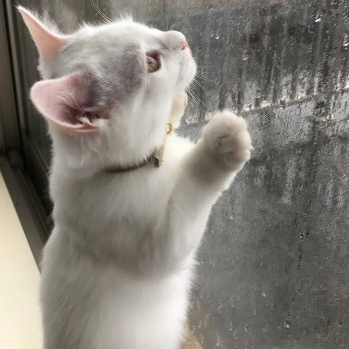 83f3de3c 9926 471b 9851 cce7c27f829a 1509248272374