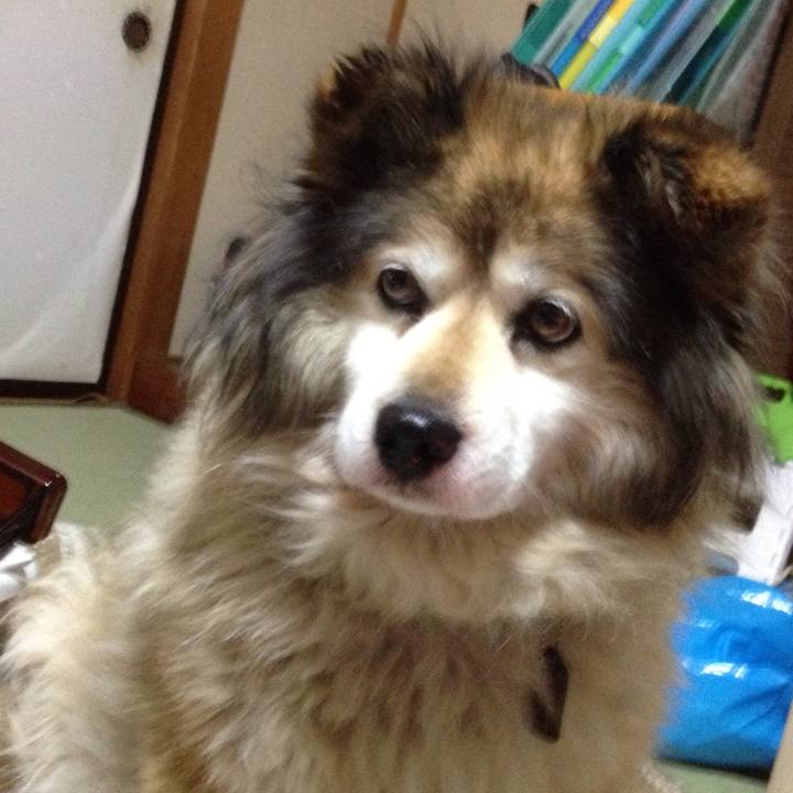 83f3fb07 d5a8 449c a474 d32635bd1649 1571737492827