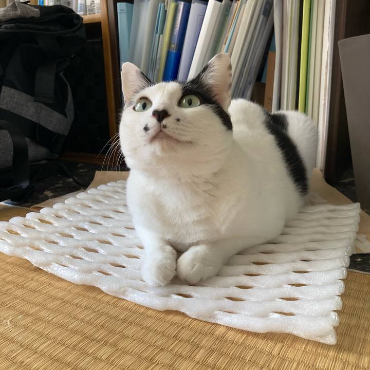 83f44579 6279 4419 8284 c47f90a5d089 1759535762458