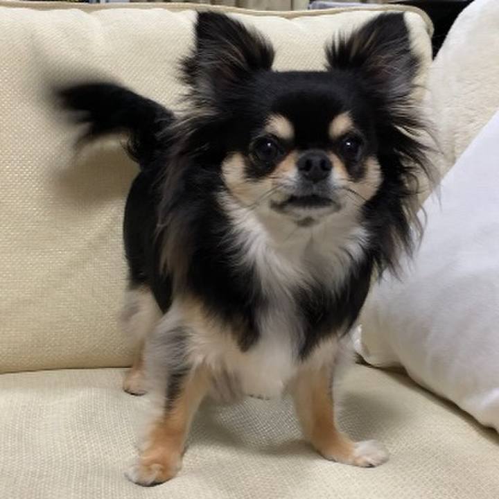 83f45687 4b08 4e53 b877 10bb1851d172 1588417963936