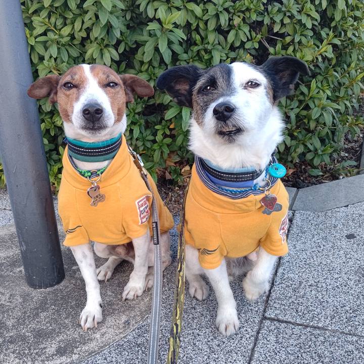 83f48c28 042a 4bf1 b907 35baab60f394 1708037718717