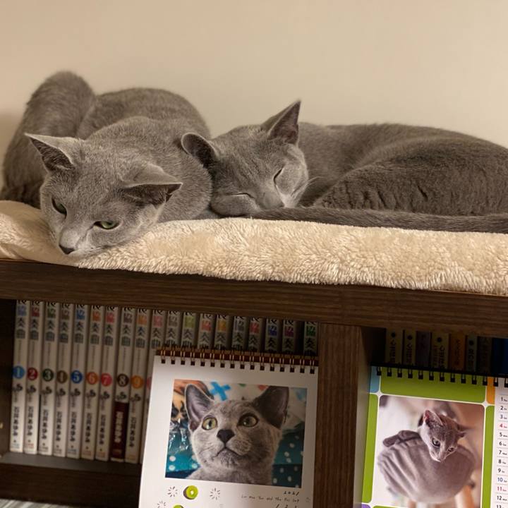 83f49c59 87a1 4944 a8d2 250547eea077 1619694051436