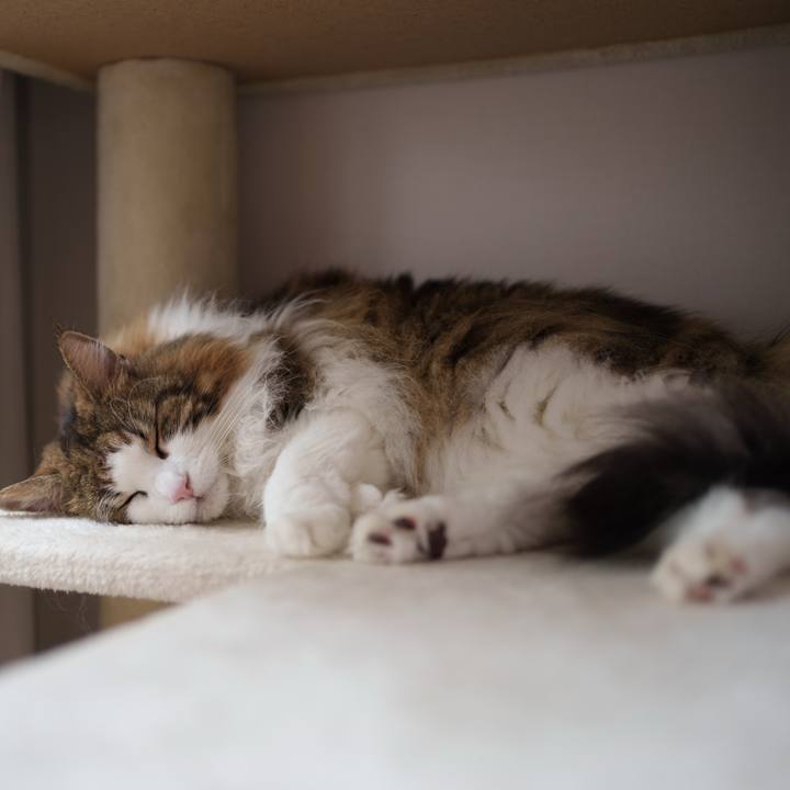 83f4df32 877a 4aec b6c7 3a571cf7378f 1757826685437