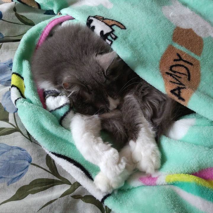 83f50f78 cc9e 4fa5 af4e 10b441822abf 1730674098028