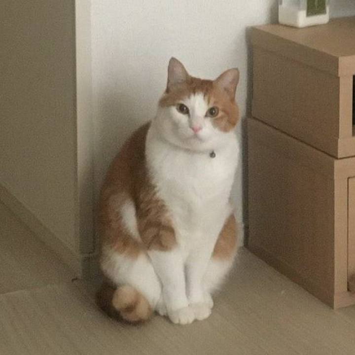 83f5267e 66eb 46f2 b5fb 1b69b98f14b9 1583360363963