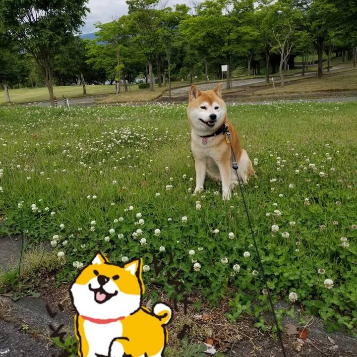 83f52814 107c 4d94 ab15 77a52c056a1d 1590997627574