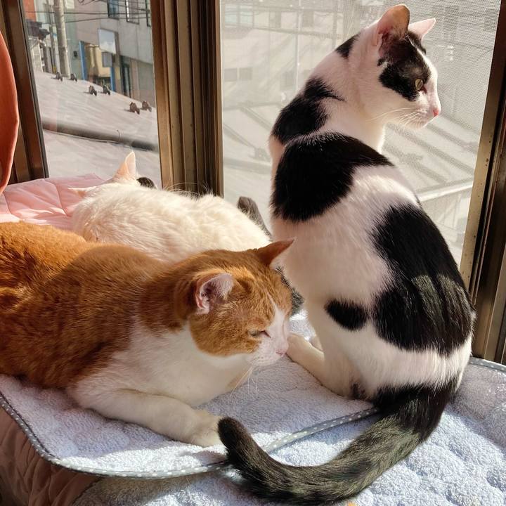 83f530d6 6b11 413b b67a a0a3e66fa88f 1678514154955